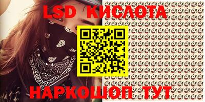 mdpv Ярославль