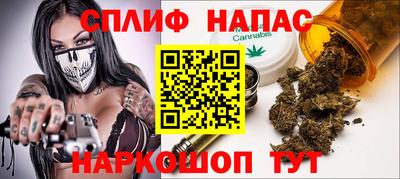 mdpv Ярославль