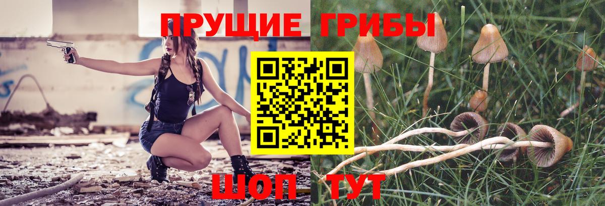 Псилоцибиновые грибы мухоморы  Вход с VPN  хочу наркоту  Волжский 